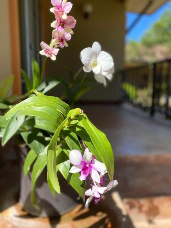 Hotel Sweet Mango Khaolak Khao Lak Zewnętrze zdjęcie
